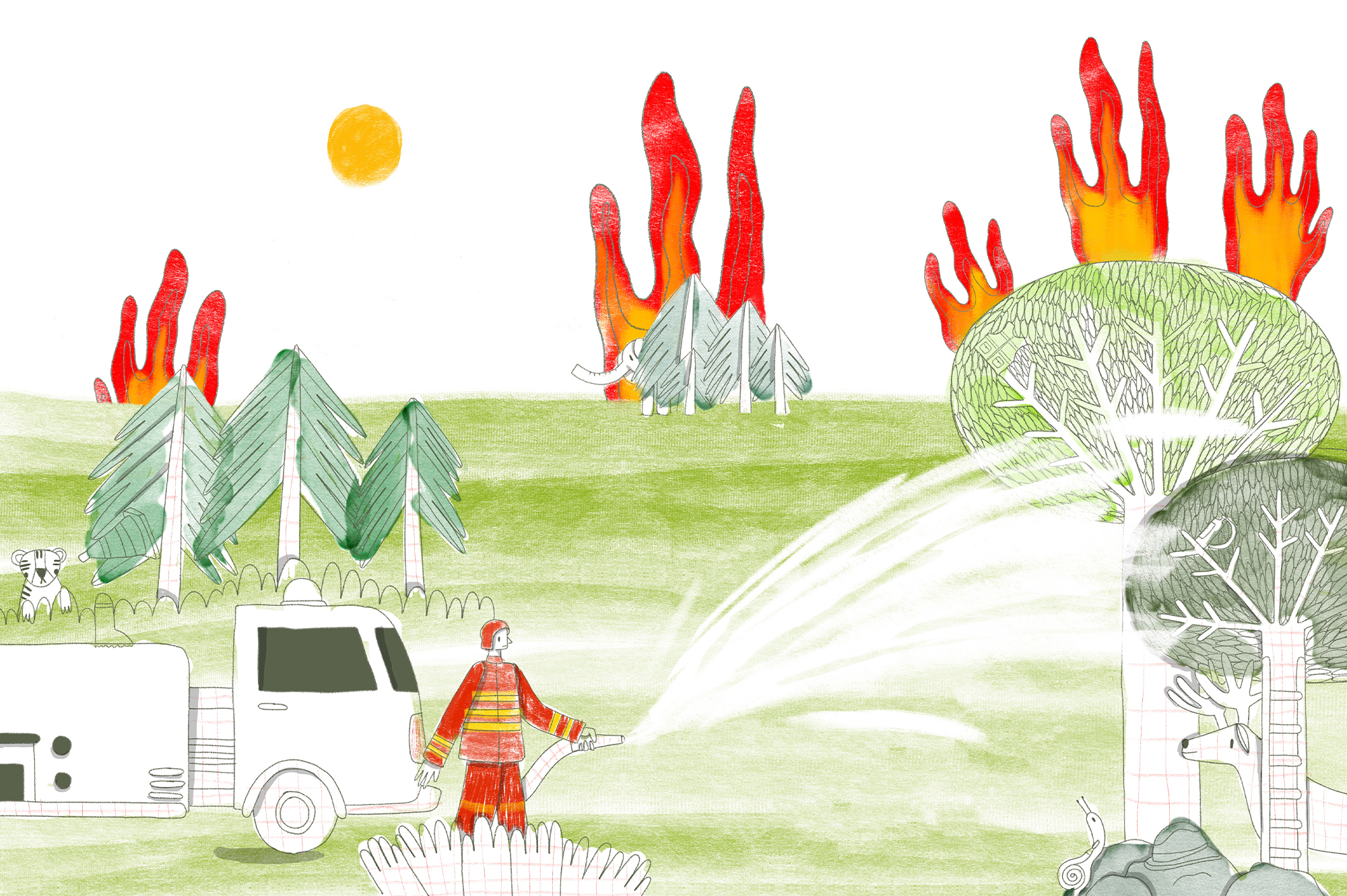 Illustration